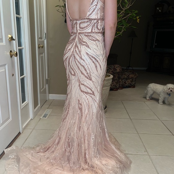 Never worn prom dress. NWT ostrich feathers adorned with substantial beading. - Picture 3 of 6